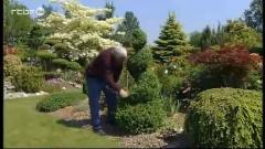 Le jardin de Brigitte et Jacques à Bléharies