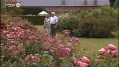 Le jardin roseraie Mesnil Geoffroy en Normandie