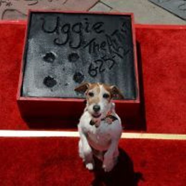 Uggie, le chien de The Artist