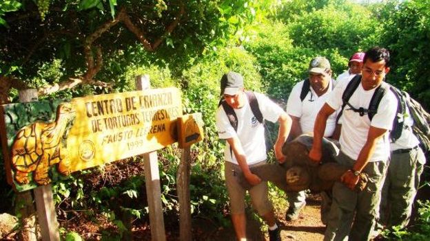 Des gardiens du parc des Galapagos évacuent Georges le Solitaire