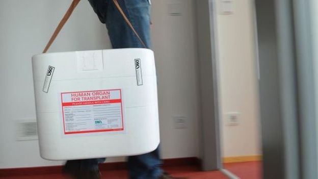 Une boîte destinée au transport d'un organe à transplanter