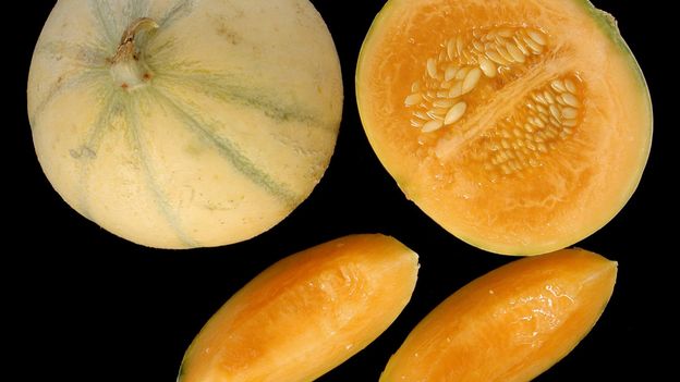 Des melons (illustration)