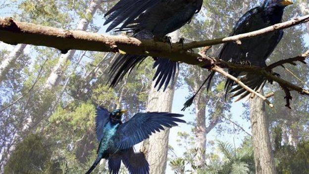 Reconstitution de microraptor