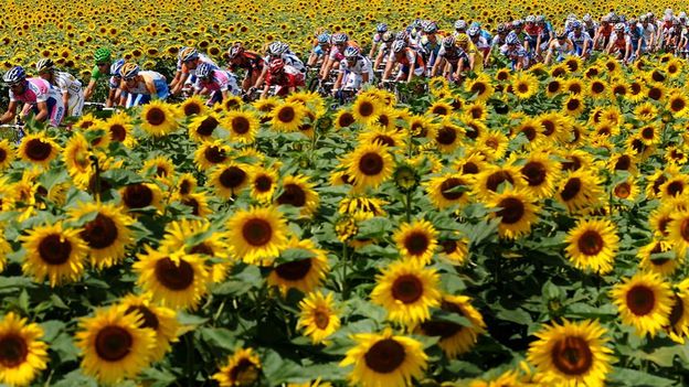 Tour de France 2012