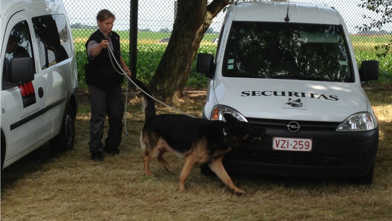 Un centre de formation pour chiens détecteurs d'explosifs Un centre de formation pour chiens détecteurs d'explosifs