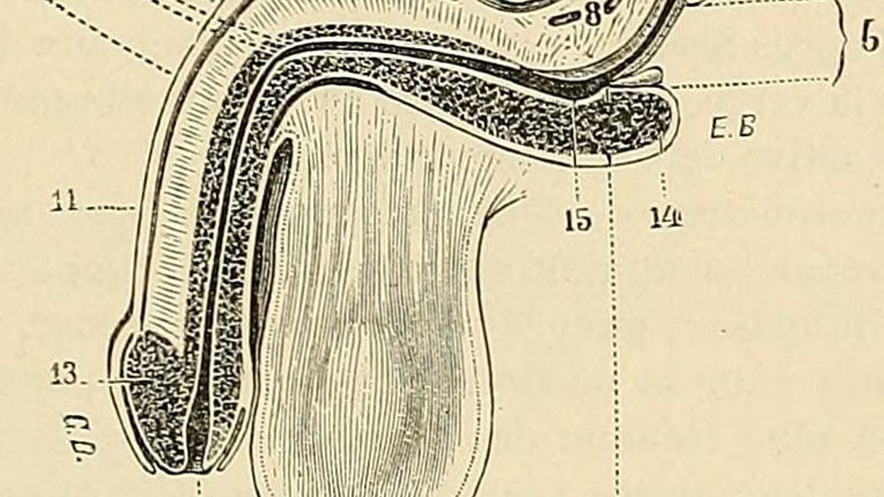 Offres d'Emplois : SpÃ©cialiste de programme, Droits de lâHomme ...
