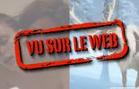 sexe dessin animé