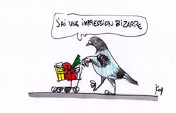 Prix du caddie trop élevé? Le rapport de l'Observatoire descendu en flammes