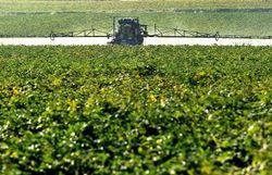 Un agriculteur répand des pesticides dans un champ du nord de la France Un agriculteur répand des pesticides dans un champ du nord de la France