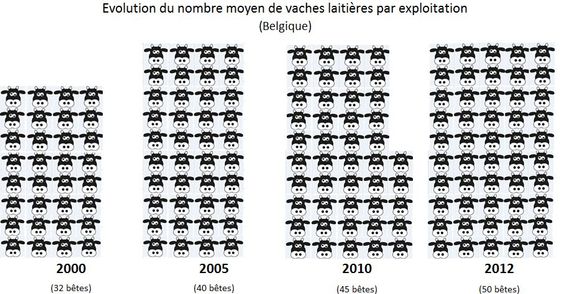 La ferme des mille vaches s'exporte en Belgique