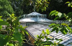 Nature : La fascination des plantes