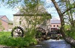 Viens avec nous pédaler à Hotton Viens avec nous pédaler à Hotton