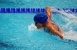 natation 