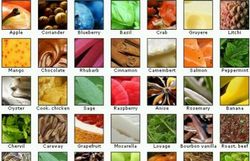 foodpairing 
