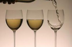 Le Sauvignon Blanc
