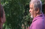 Le jardinage des signes à l'IRSA