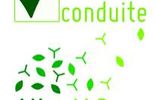 Les plantes invasives