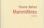 Flammarion publiera "Toute la noirceur du monde" de Pierre Mérot en septembre