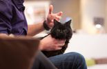 Soigner son animal soi-même ?