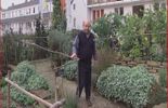 Nature et Progrès - le jardin didactique