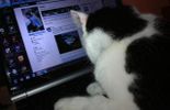 Pirate sur Facebook