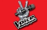 Bientôt la tournée "The Voice Tour 2013"