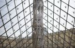 Le "Suppo" de Wim Delvoye au Louvre à Paris