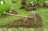 jardinage 
