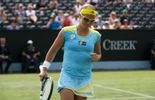 Wimbledon: Djokovic et Serena Williams têtes de série n°1, Flipkens n°20