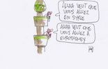 Belges en Syrie: salaires, assurance décès, 