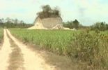123 Belize: un temple maya vieux de 2300 ans balayé pour construire une route