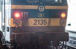 123 SNCB: 3h40 de retard par jour à cause des promeneurs le long des voies