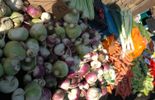 Un plan potager pour augmenter le nombre de cultivateurs bruxellois
