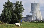 123 Les réacteurs nucléaires Doel 1 et 2 arrêtés en juin pour un entretien
