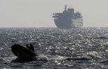 123 Turquie: les victimes du Mavi Marmara confirment leur plainte