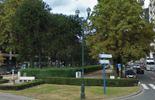 123 Bruxelles a lancé son plan "plantations" pour 2013