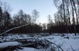 123 La Russie assise sur une immense réserve de diamants depuis 35 millions d'années