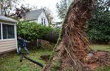 123 Des dizaines de morts, des dégâts considérables: Sandy sème la désolation