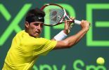 Tomic demande qu'on expulse son père