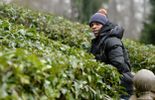 Loïc Rémy, soupçonné de viol, libéré sous caution