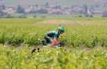 Dauphiné - 7e étape: Voeckler abandonne