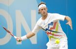 Queens's: Cilic-Nalbandian en finale