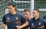 Vermaelen apprécie la confiance du sélectionneur