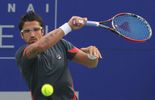 Tipsarevic face à la surprise Bautista à Chennai