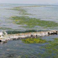 Quand la mer submerge les digues
