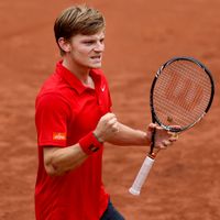 David Goffin 