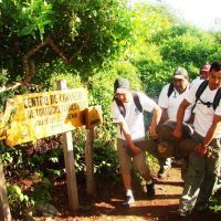 Des gardiens du parc des Galapagos évacuent Georges le Solitaire
