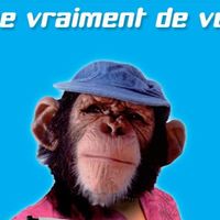 Une journée contre le plagiat