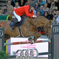 JO : gagnez des places pour les compétitions d'équitation