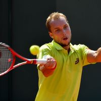 Steve Darcis